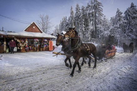 A Sleigh ride in Kubalonka
